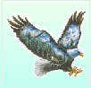 wfinal6005011.gif
